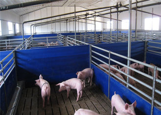 Agricultural Steel Farm Sheds Cattle / Pig Shelter For Rural 100~150 Km/H Wind Load