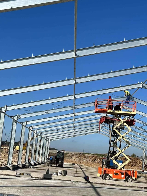 Modern Durable Light Steel Structure Building Chicken Coop With Spacious Roaming Areas For Poland