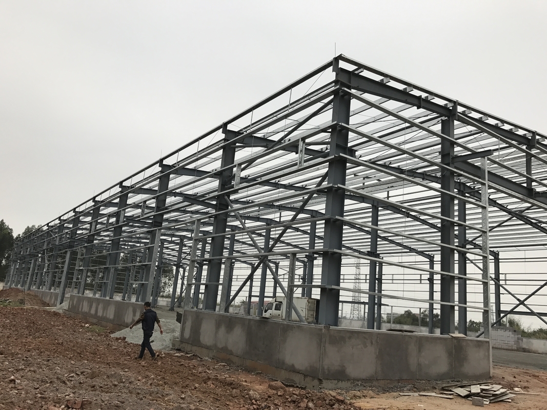 Customizable Flexible Steel Structure Warehouse For Tailored Storage Fast Installation