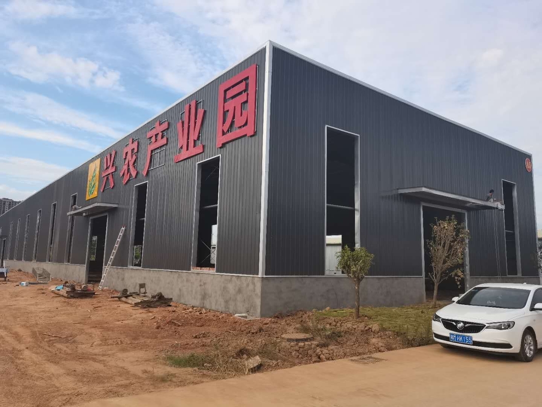 Quick Build Simple And Strong Storage Warehouse For Agricultural Vegetable Storage
